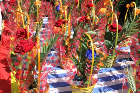 Si veus això, prepara't per a córrer [foto©: Ajuntament de Vilanova]